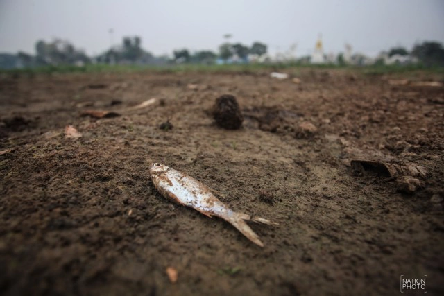 ขั้นวิกฤติ! กว๊านพะเยาแล้งหนัก เหลือน้ำผลิตประปา 30 วัน