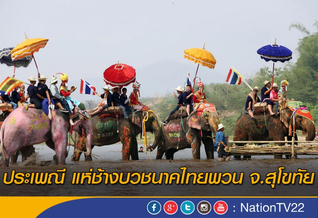 ประเพณี แห่ช้างบวชนาคไทยพวน จ.สุโขทัย ประเพณี แห่ช้างบวชนาคไทยพวน จ.สุโขทัย