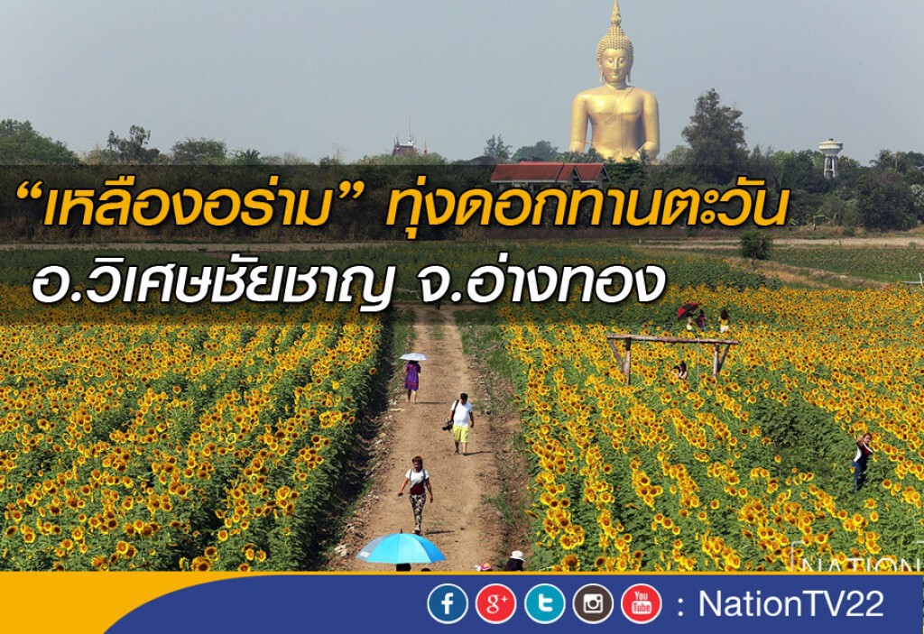 ทุ่งดอกทานตะวัน อ.วิเศษชัยชาญ จ.อ่างทอง ทุ่งดอกทานตะวัน อ.วิเศษชัยชาญ จ.อ่างทอง
