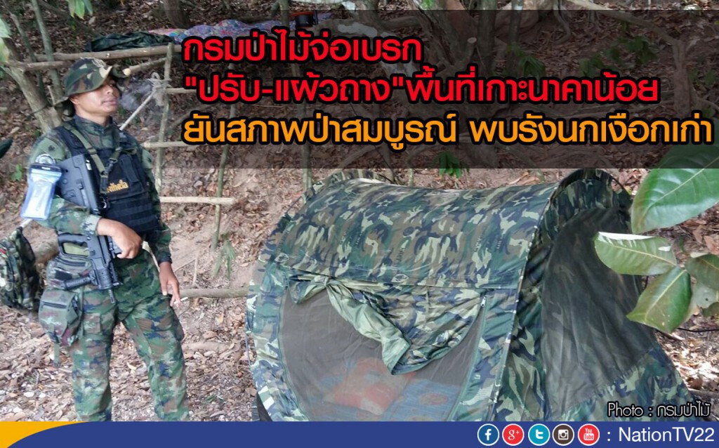 กรมป่าไม้จ่อ เบรก"ปรับ-แผ้วถาง"พื้นที่เกาะนาคาน้อย
ยันสภาพป่าสมบูรณ์ พบรังนกเงือกเก่า