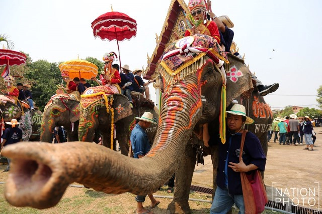 ประเพณี แห่ช้างบวชนาคไทยพวน จ.สุโขทัย