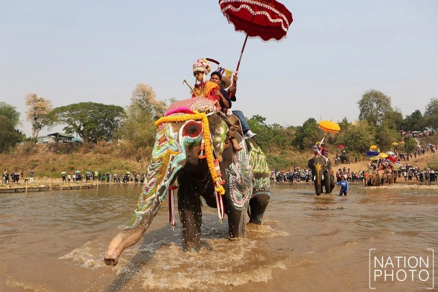 ประเพณี แห่ช้างบวชนาคไทยพวน จ.สุโขทัย