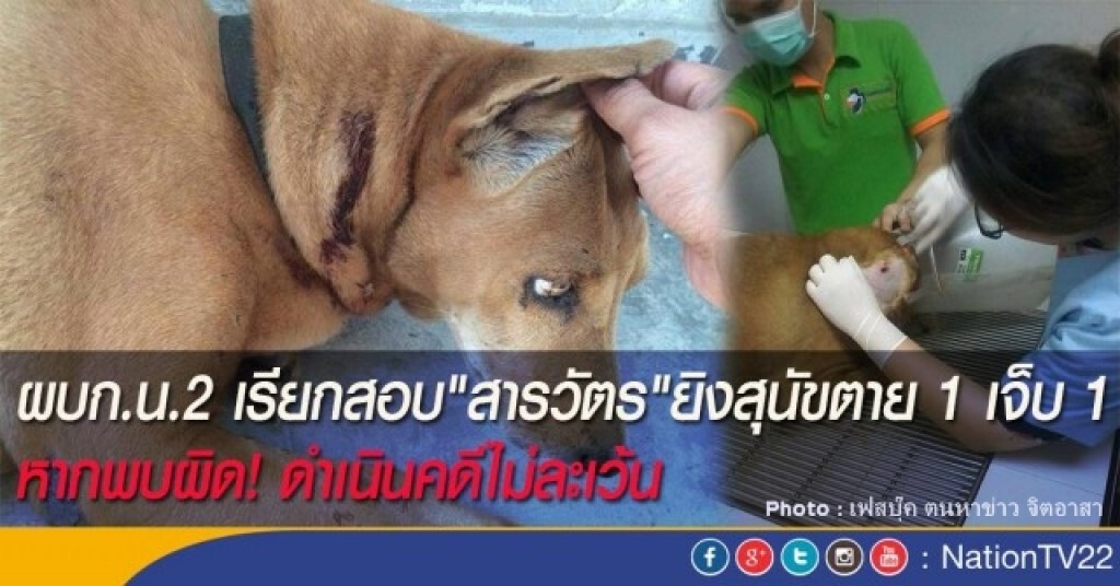 ผบก.น.2 เรียกสอบ"สารวัตร"ยิงสุนัขตาย 1 เจ็บ 1 ผบก.น.2 เรียกสอบ"สารวัตร"ยิงสุนัขตาย 1 เจ็บ 1