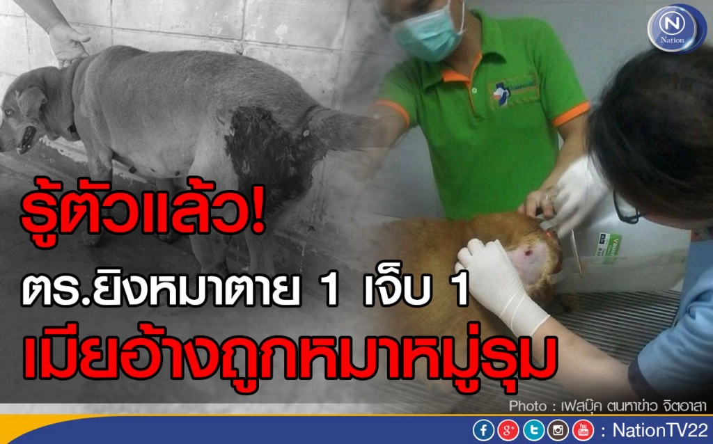 รู้ตัวแล้ว! ตร.ยิงหมาตาย 1 เจ็บ 1  เมียอ้างถูกหมาหมู่รุ่มกัด