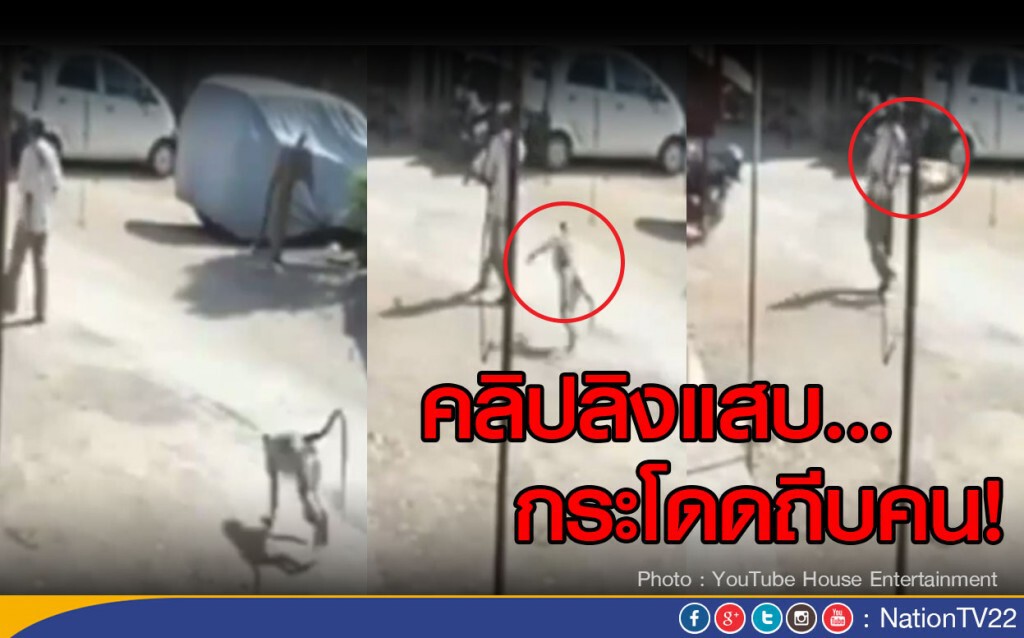 คลิปลิงแสบ...กระโดดถีบคน คลิปลิงแสบ...กระโดดถีบคน