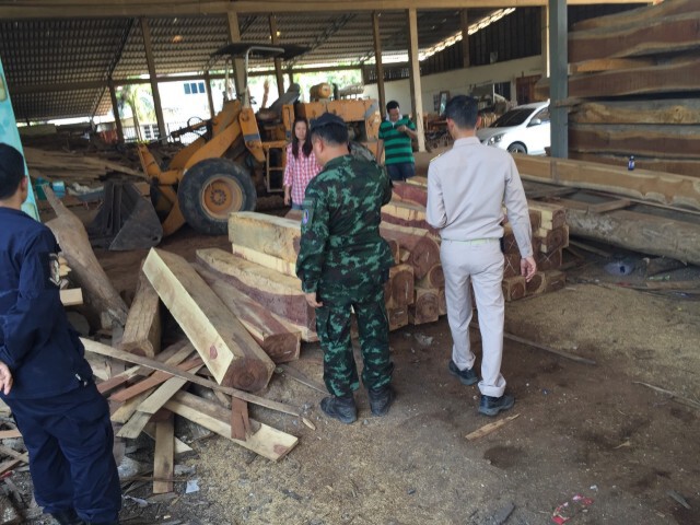 บุกจับ! โรงเลื่อยปทุม-นครปฐม พบไม้เถื่อน