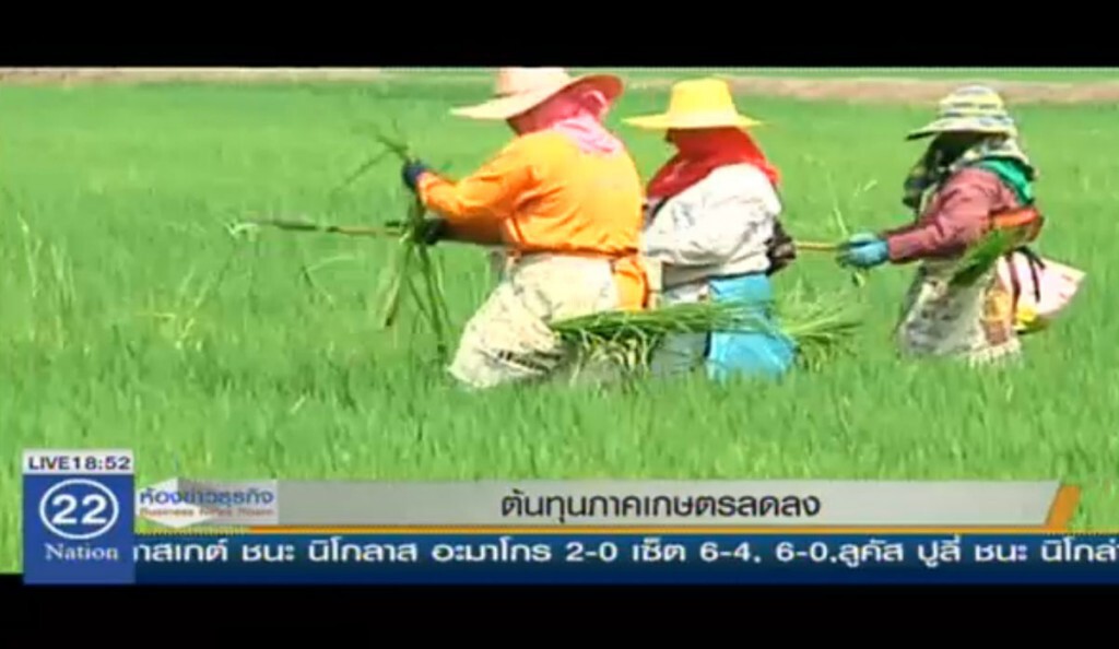 ต้นทุนภาคเกษตรลดลง ต้นทุนภาคเกษตรลดลง