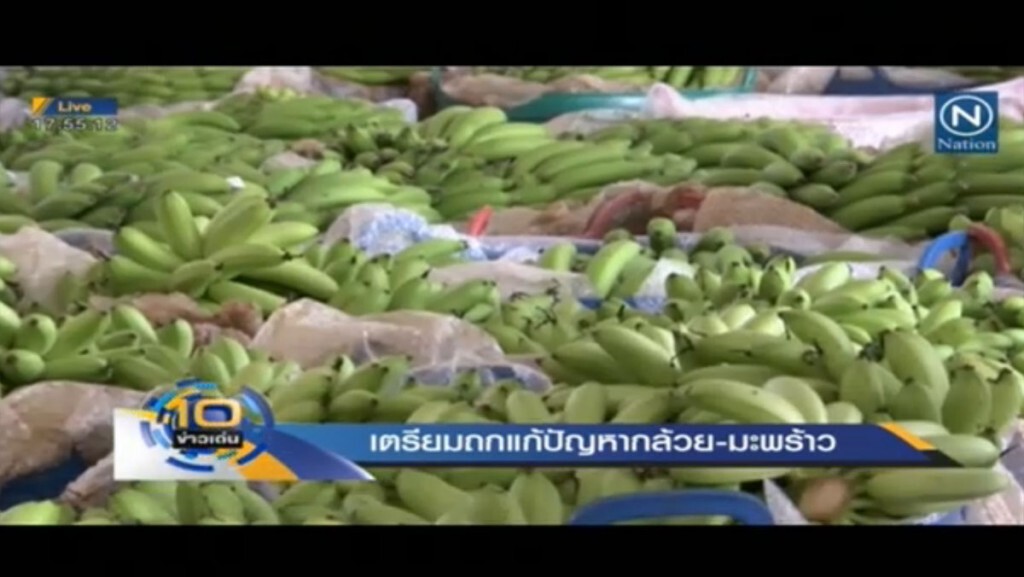 หลังสงกรานต์ ถกแก้ปัญหากล้วย-มะพร้าว หลังสงกรานต์ ถกแก้ปัญหากล้วย-มะพร้าว