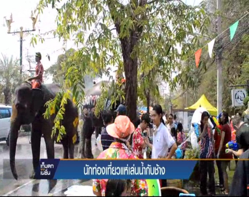 นักท่องเที่ยวแห่เล่นน้ำกับช้าง จ.พระนครศรีอยุธยา นักท่องเที่ยวแห่เล่นน้ำกับช้าง จ.พระนครศรีอยุธยา