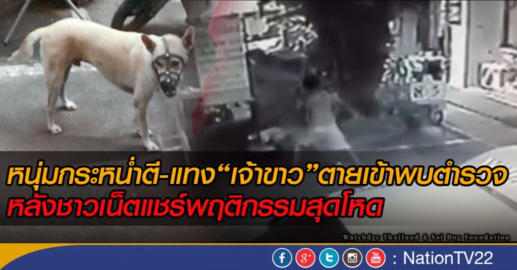 หนุ่มกระหน่ำตี-แทง“เจ้าขาว”
หมาจรจัดตายย่านรามคำแหงเข้าพบตำรวจ
หลังชาวเน็ตแชร์พฤติกรรมสุดโหด