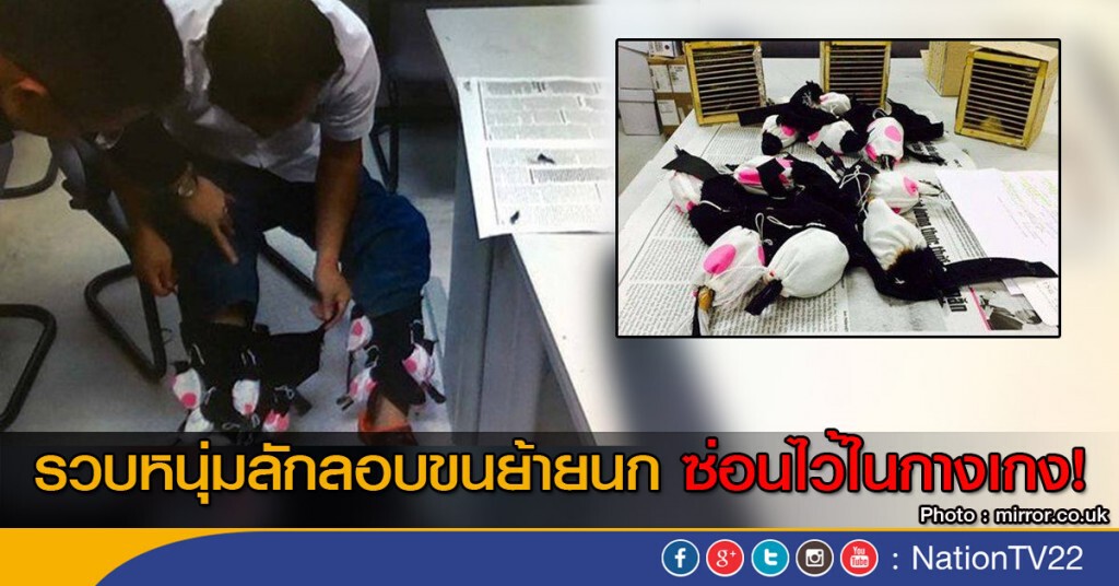 รวบหนุ่มลักลอบขนย้ายนก ซ่อนไว้ในกางเกง รวบหนุ่มลักลอบขนย้ายนก ซ่อนไว้ในกางเกง