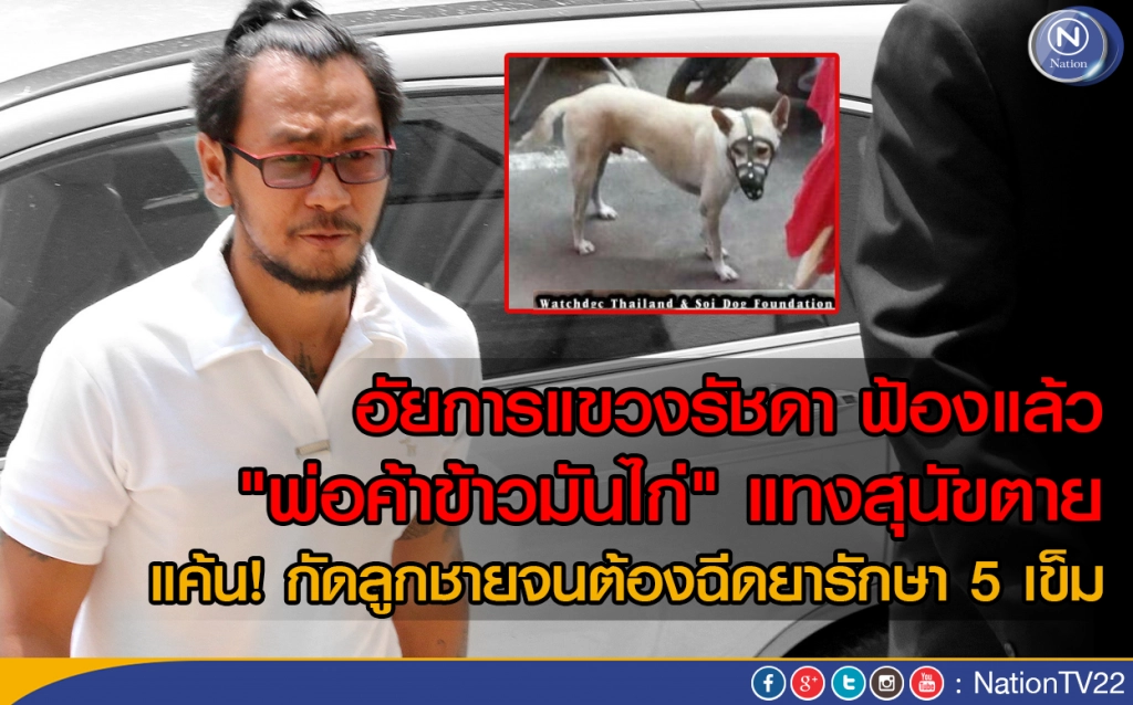อัยการแขวงรัชดา ฟ้องแล้ว "พ่อค้าข้าวมันไก่" แทงสุนัขตาย