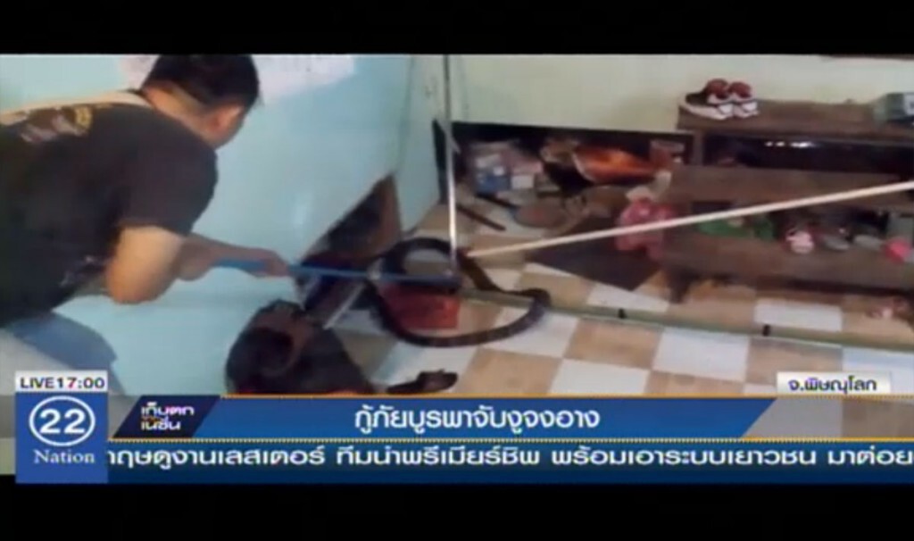 กู้ภัยบูรพา จับงูจงอางเข้าบ้าน