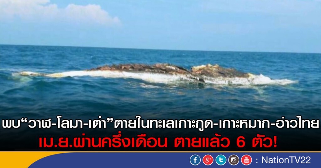 พบซากวาฬขนาดใหญ่ ลอยในทะเลระหว่างเกาะกูด-เกาะหมาก พบซากวาฬขนาดใหญ่ ลอยในทะเลระหว่างเกาะกูด-เกาะหมาก