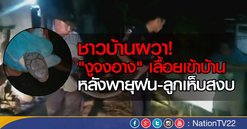 ชาวบ้านผวา!
"งูจงอาง" เลื้อยเข้าบ้าน หลังพายุฝนและลูกเห็บสงบ