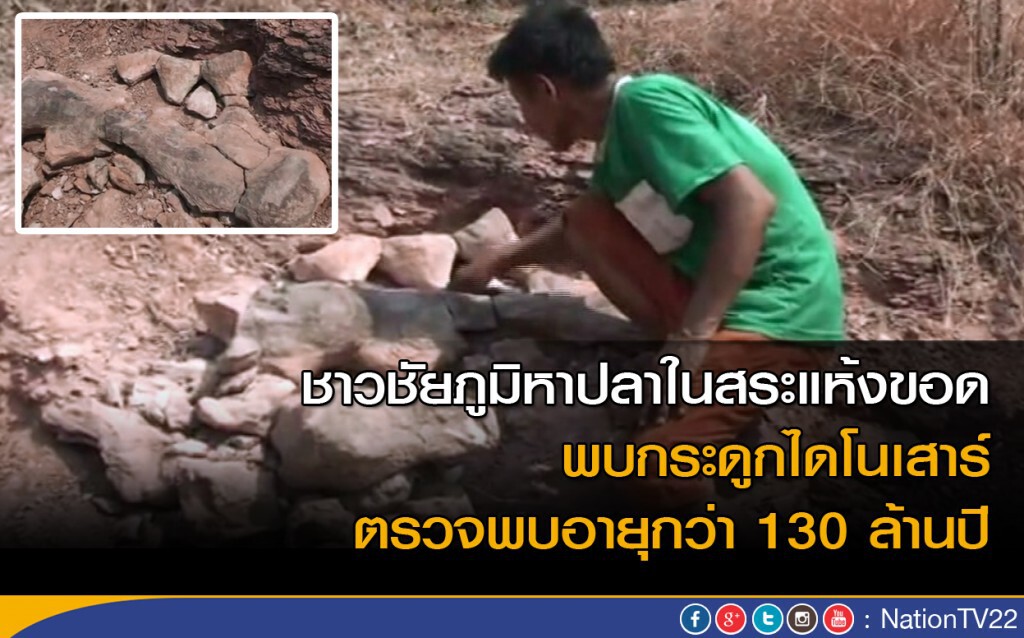 ชัยภูมิ พบกระดูกไดโนเสาร์มีอายุกว่า 130 ล้านปี ชัยภูมิ พบกระดูกไดโนเสาร์มีอายุกว่า 130 ล้านปี