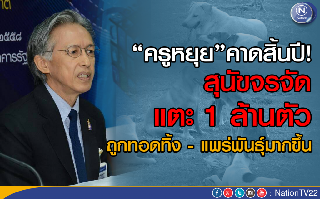 “ครูหยุย”คาดสิ้นปี สุนัขจรจัดแตะ 1 ล้านตัว “ครูหยุย”คาดสิ้นปี สุนัขจรจัดแตะ 1 ล้านตัว