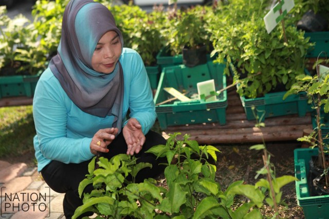 สำนักงานเขตหนองจอก จัดตลาดนัดขยะแลกต้นไม้