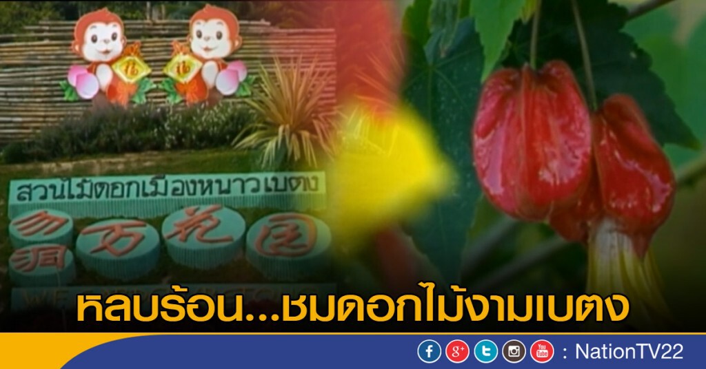 หลบร้อนชมดอกไม้งามเบตง หลบร้อนชมดอกไม้งามเบตง