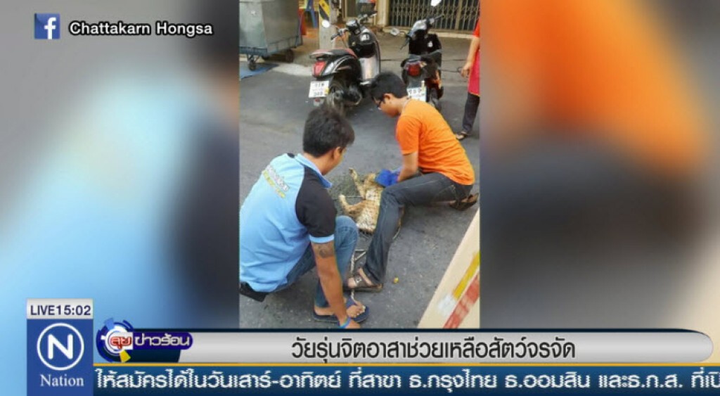 วัยรุ่นจิตอาสาช่วยเหลือสัตว์จรจัด วัยรุ่นจิตอาสาช่วยเหลือสัตว์จรจัด