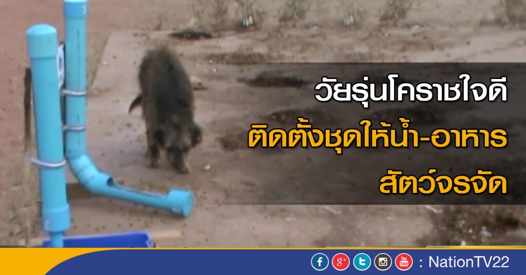 (นครราชสีมา) วัยรุ่นใจดีติดตั้งชุดให้น้ำอาหารสัตว์จรจัด