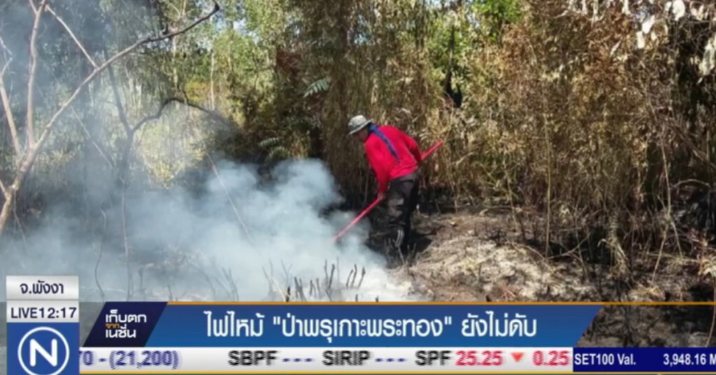 ไฟไหม้ป่าพรุ บนเกาะพระทอง 4 วันยังไม่ดับ ไฟไหม้ป่าพรุ บนเกาะพระทอง 4 วันยังไม่ดับ