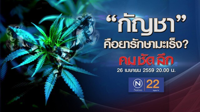 กัญชา รักษามะเร็ง? คม-ชัด-ลึก