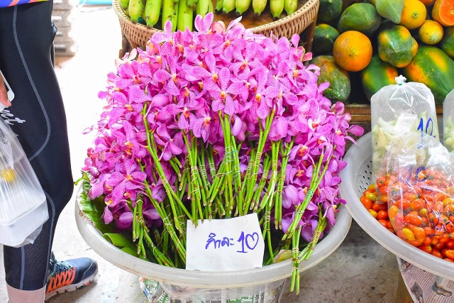 Chic-In  : กุลนที โฮมสเตย์ เอื่อยๆกับวิถึริมแม่น้ำนครชัยศรี บางเลน นครปฐม