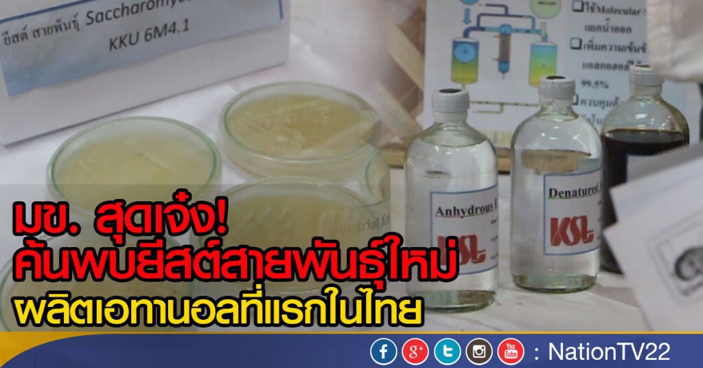 มข. สุดเจ๋ง! ค้นพบยีสต์สายพันธุ์ใหม่
ผลิตเอทานอลที่แรกในไทย