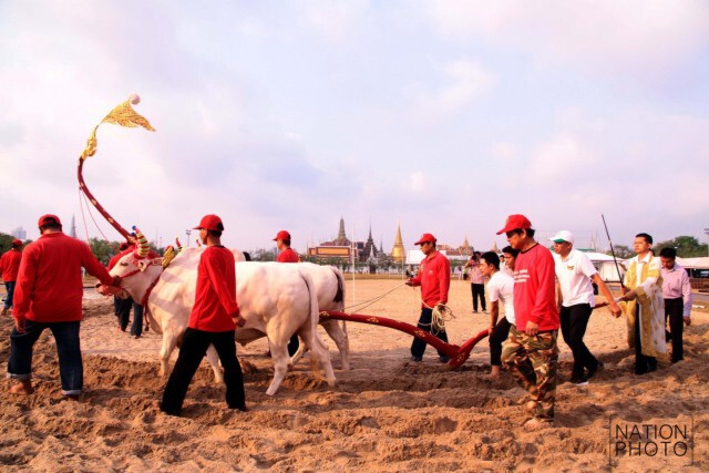 ซ้อมย่อย งานพระราชพิธีจรดพระนังคัลแรกนาขวัญ