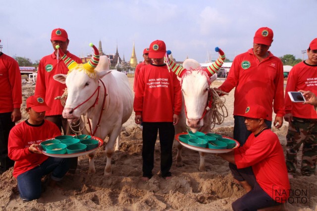 ซ้อมย่อย งานพระราชพิธีจรดพระนังคัลแรกนาขวัญ
