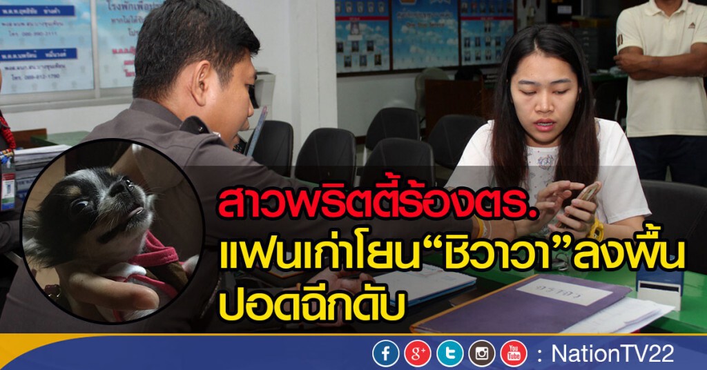 สาวพริตตี้ร้องตร. แฟนเก่าโยน"ชิวาวา"ลงพื้นปอดฉีกดับ