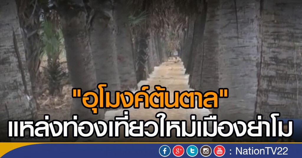 ท่องเที่ยวแห่งใหม่ อุโมงค์ต้นตาล