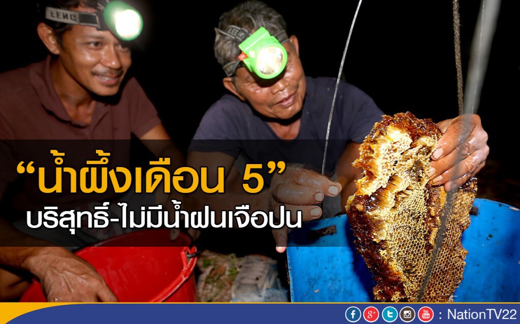 ภาพชุด : น้ำผึ้งเดือน 5