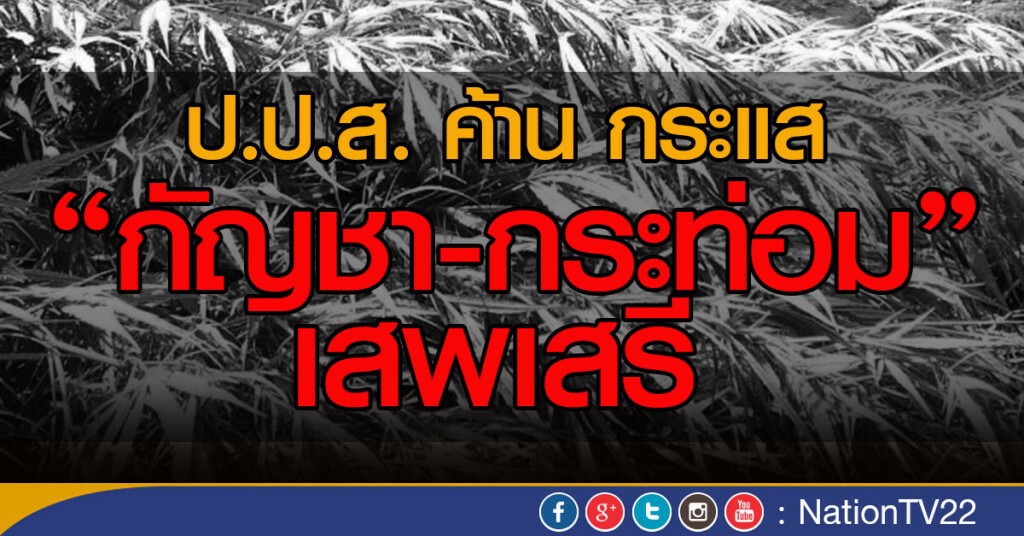 ป.ป.ส. ค้าน กระแส "กัญชา-กระท่อม" เสพเสรี ป.ป.ส. ค้าน กระแส "กัญชา-กระท่อม" เสพเสรี