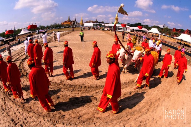 ซ้อมใหญ่...งานพระราชพิธีพืชมงคลจรดพระนังคัลแรกนาขวัญ