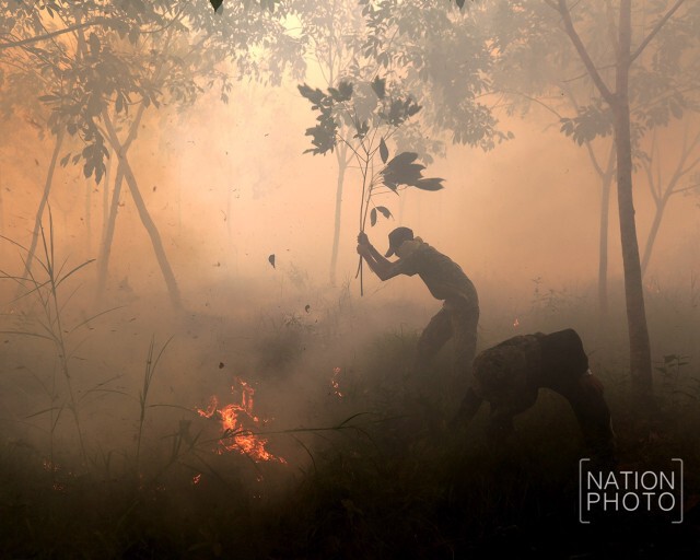 ไฟป่าพรุ ลุกไหม้! ลามสวนยางพารา จ.นราธิวาส