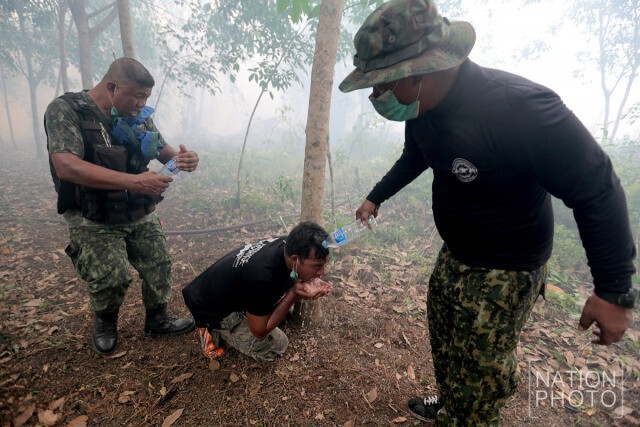 ไฟป่าพรุ ลุกไหม้! ลามสวนยางพารา จ.นราธิวาส
