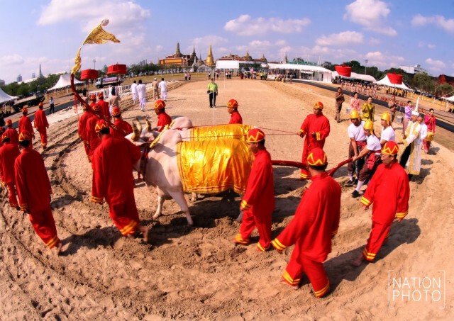 ซ้อมใหญ่...งานพระราชพิธีพืชมงคลจรดพระนังคัลแรกนาขวัญ
