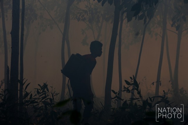 ไฟป่าพรุ ลุกไหม้! ลามสวนยางพารา จ.นราธิวาส