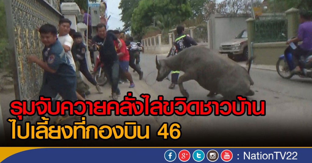 รุมจับควายคลั่งไล่ขวิดชาวบ้าน ไปเลี้ยงที่กองบิน 46 รุมจับควายคลั่งไล่ขวิดชาวบ้าน ไปเลี้ยงที่กองบิน 46