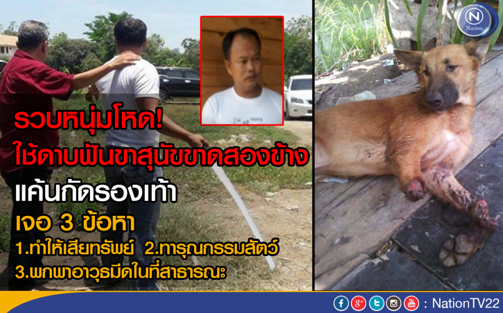 รวบหนุ่มโหด! ใช้ดาบฟันขาสุนัขขาดสองข้าง
แค้นสุนัขกัดรองเท้า รวบหนุ่มโหด! ใช้ดาบฟันขาสุนัขขาดสองข้าง
แค้นสุนัขกัดรองเท้า
