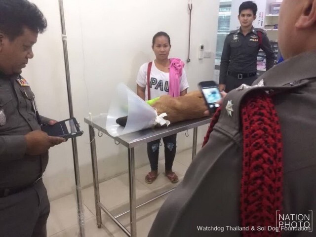 รวบหนุ่มโหด! ใช้ดาบฟันขาสุนัขขาดสองข้าง
แค้นสุนัขกัดรองเท้า