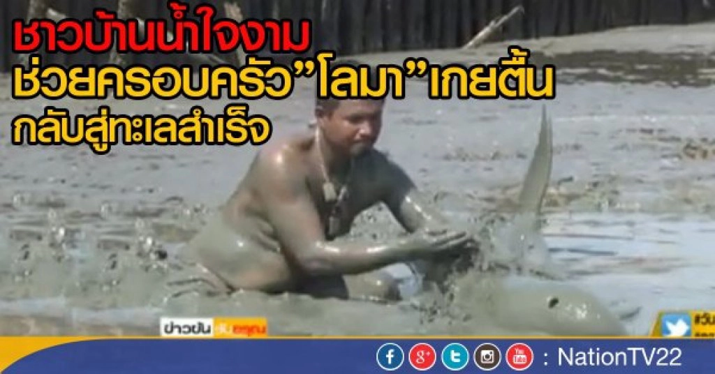 ชาวบ้านช่วยโลมาเกยตื้น กลับทะเลสำเร็จ ชาวบ้านช่วยโลมาเกยตื้น กลับทะเลสำเร็จ