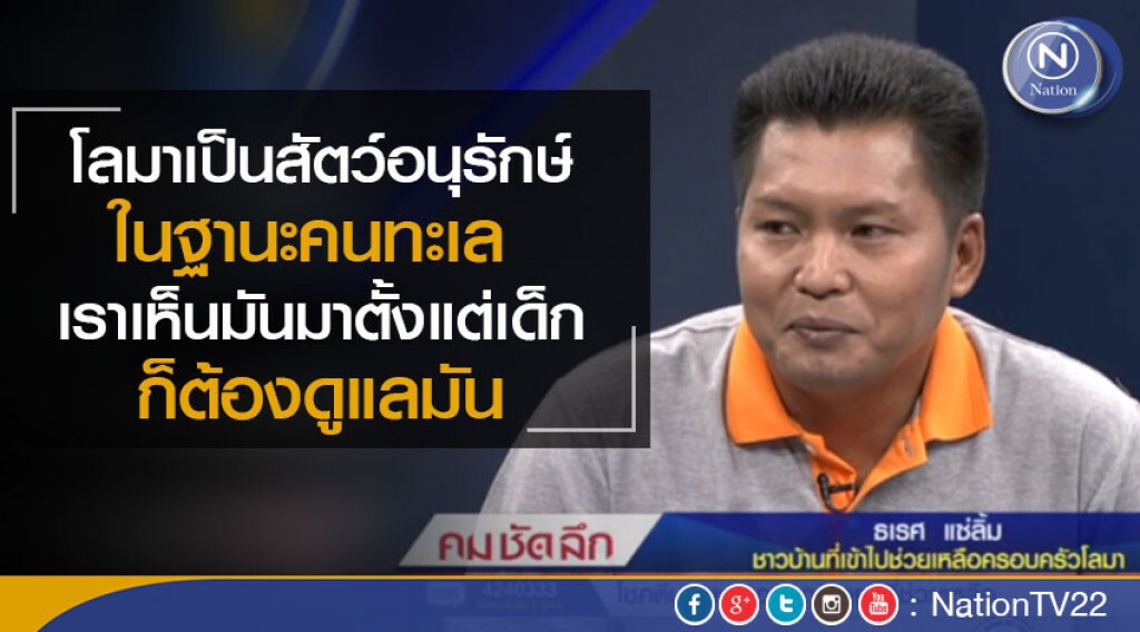 "คม ชัด ลึก" ช่วยชีวิตโลมา 5 ตัว รอดตายหวุดหวิด