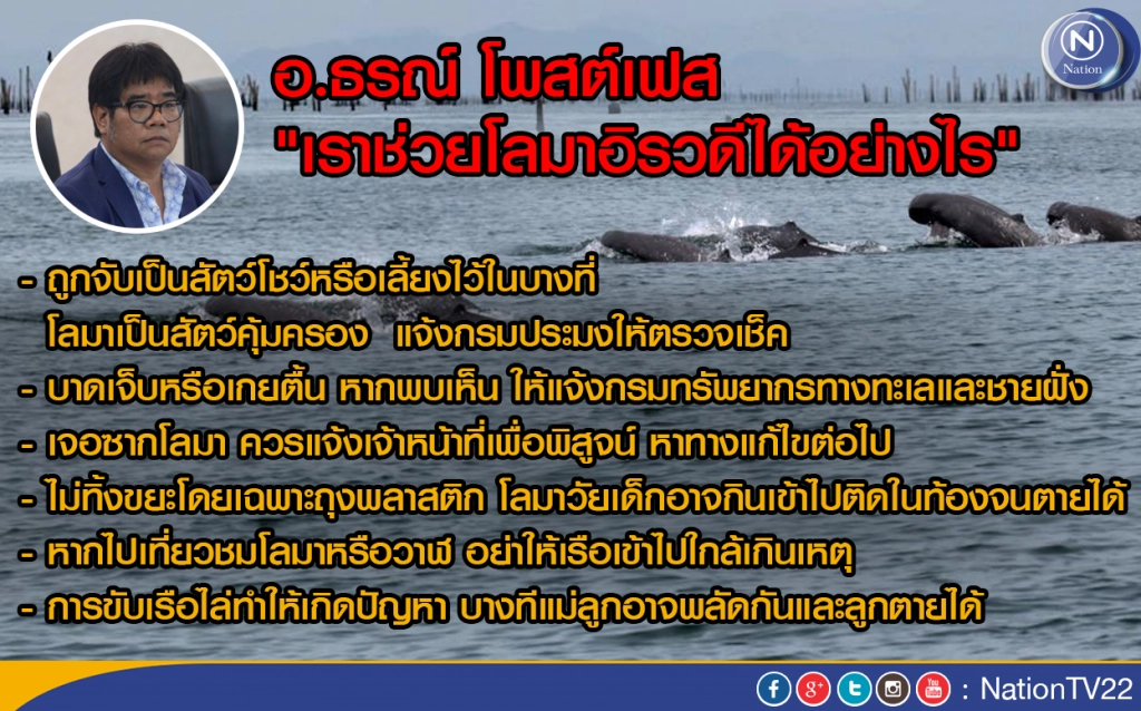 ‎อ.ธรณ์ โพสต์เฟส "เราช่วยโลมาอิรวดีได้อย่างไร‬"