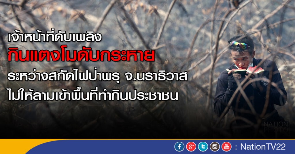 เจ้าหน้าที่ดับเพลิงกินแตงโมดับกระหาย ระหว่างสกัดไฟป่าพรุ เจ้าหน้าที่ดับเพลิงกินแตงโมดับกระหาย ระหว่างสกัดไฟป่าพรุ