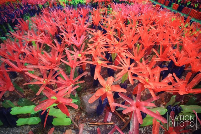 สวนขวดสีที่สุพรรณ