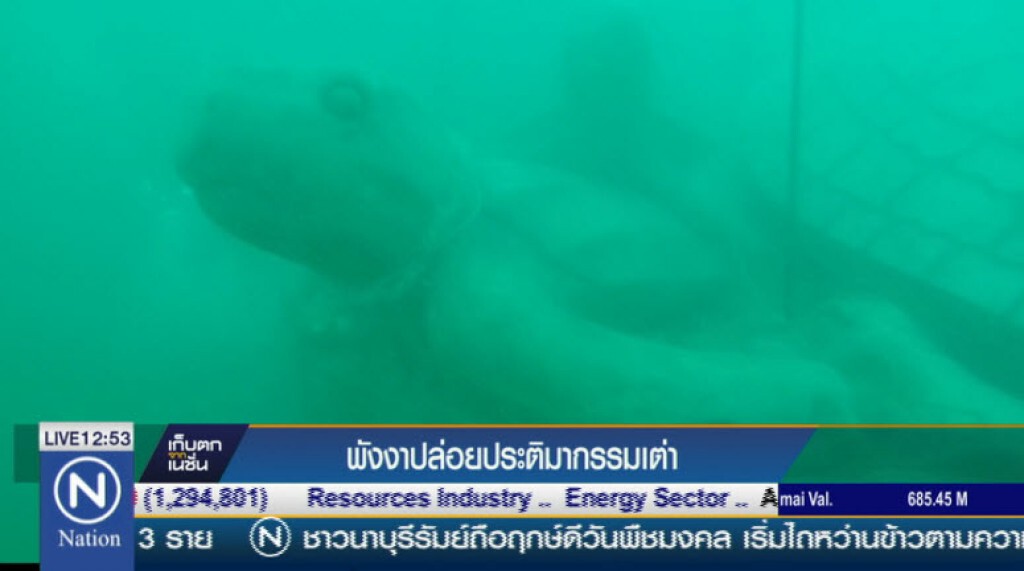 พังงาปล่อยประติมากรรมเต่า