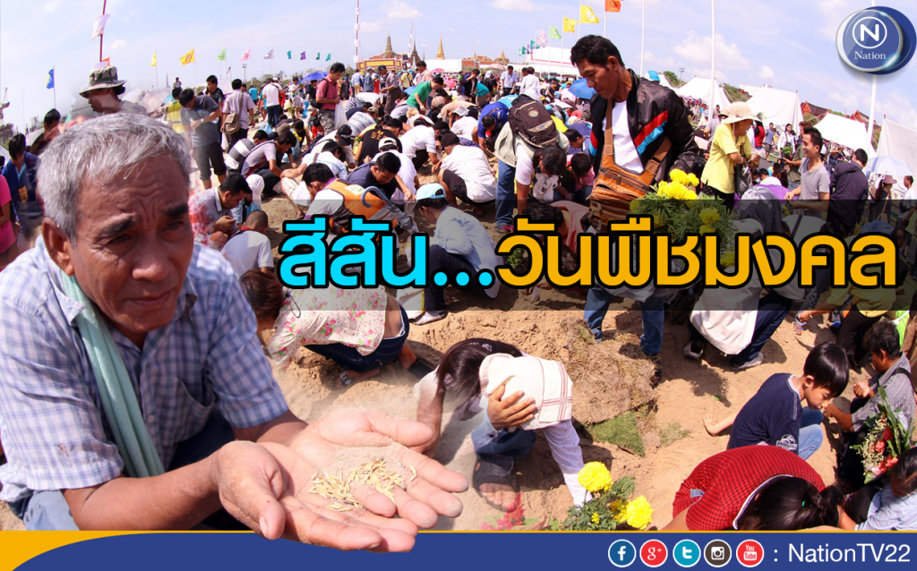 สีสัน...วันพืชมงคล สีสัน...วันพืชมงคล